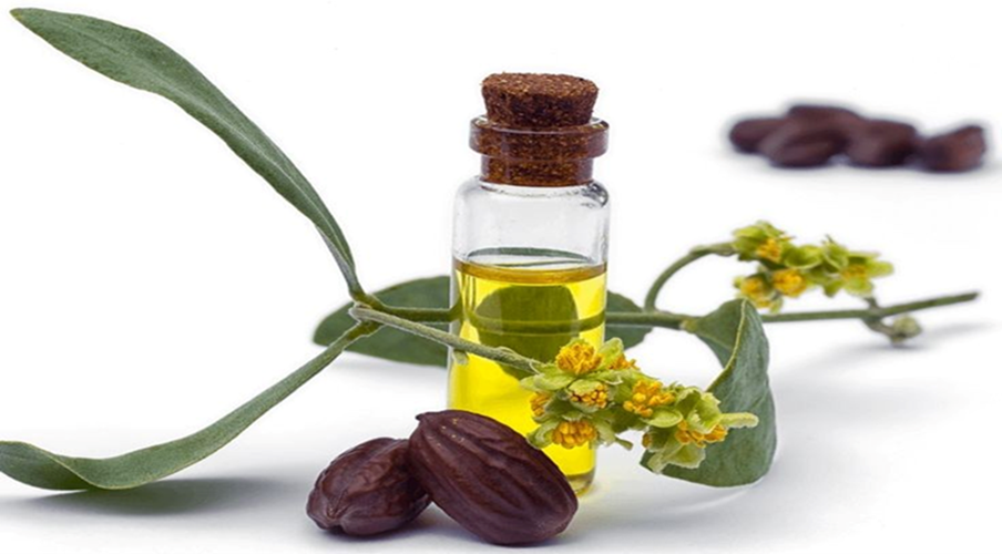 روغن جوجوبا یک روغن گیاهی برای موهای نازک