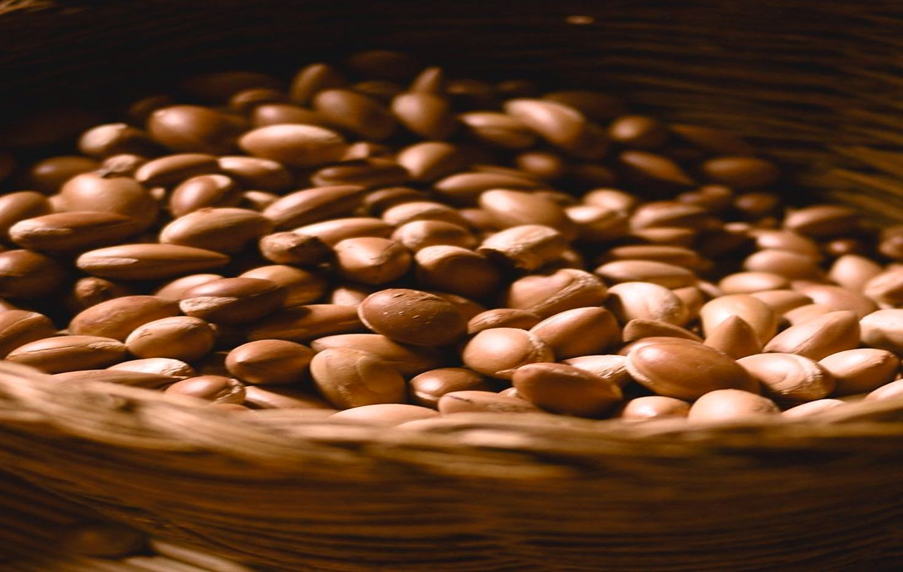 روغن آرگان یک روغن گیاهی برای موهای نازک